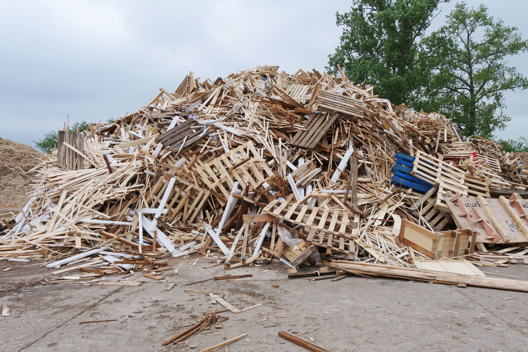 natural_waste_wood_01.jpg